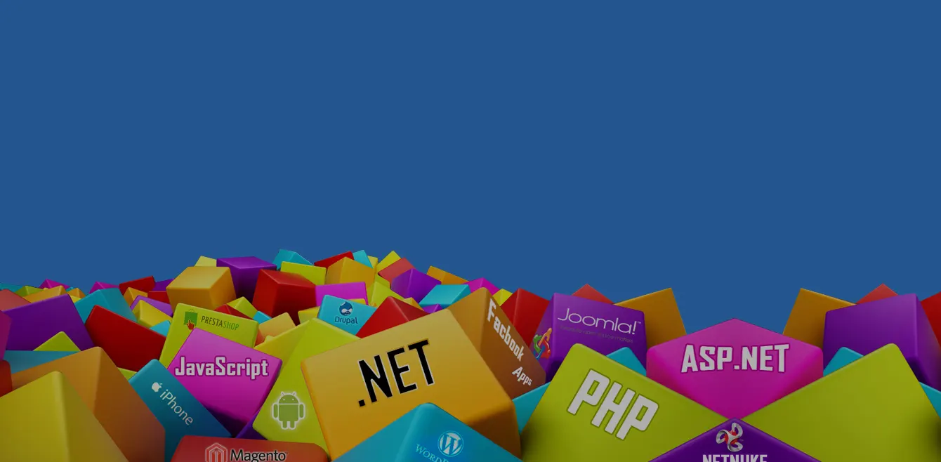 Software Developement